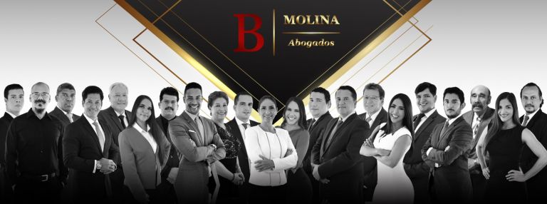 Boris Molina Abogados - Inicio