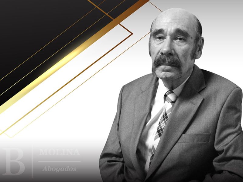 Enrique Pedro Haba Müller